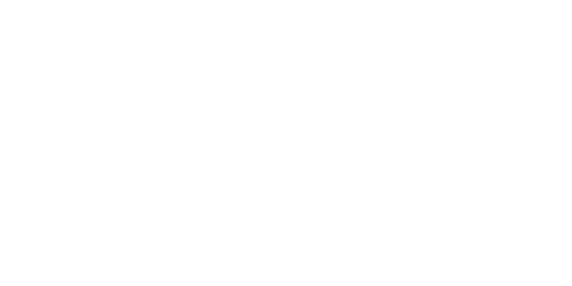northwave_logo_wit
