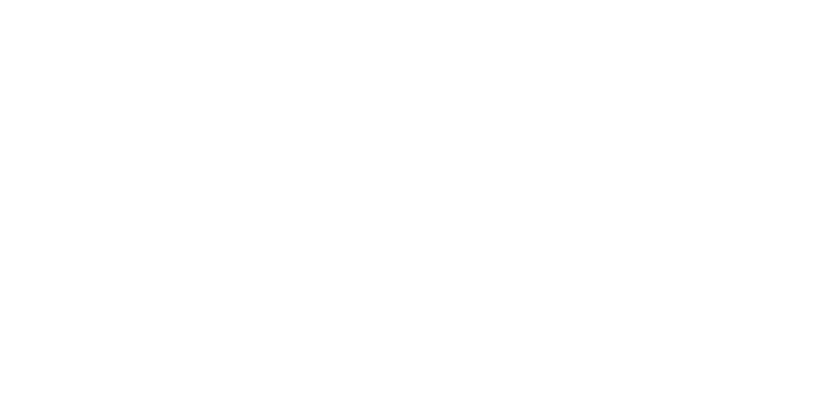 FinishLine_logo_white